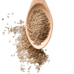 Whole Jeera/ Cumin seeds